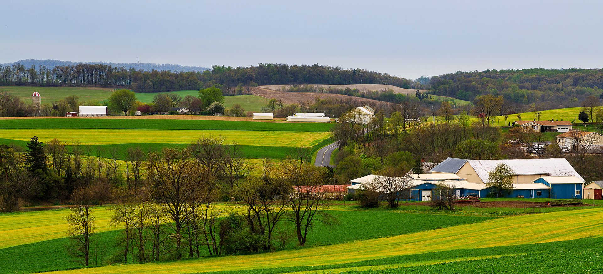 Hawkstone Village